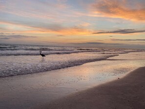 En la playa, camastros y toallas de playa 