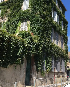 Edifici amb façana de pedra en part coberta d'heura.