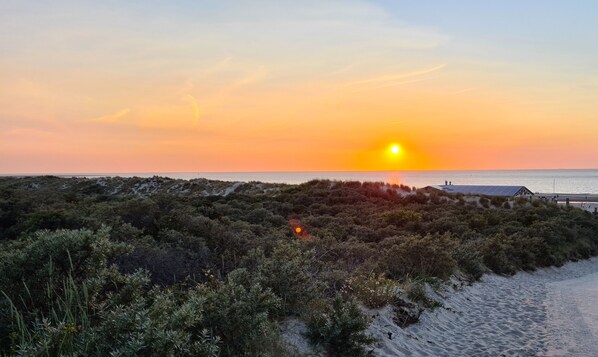 Sulla spiaggia, lettini da mare