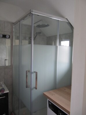 Shower, hair dryer, toilet paper