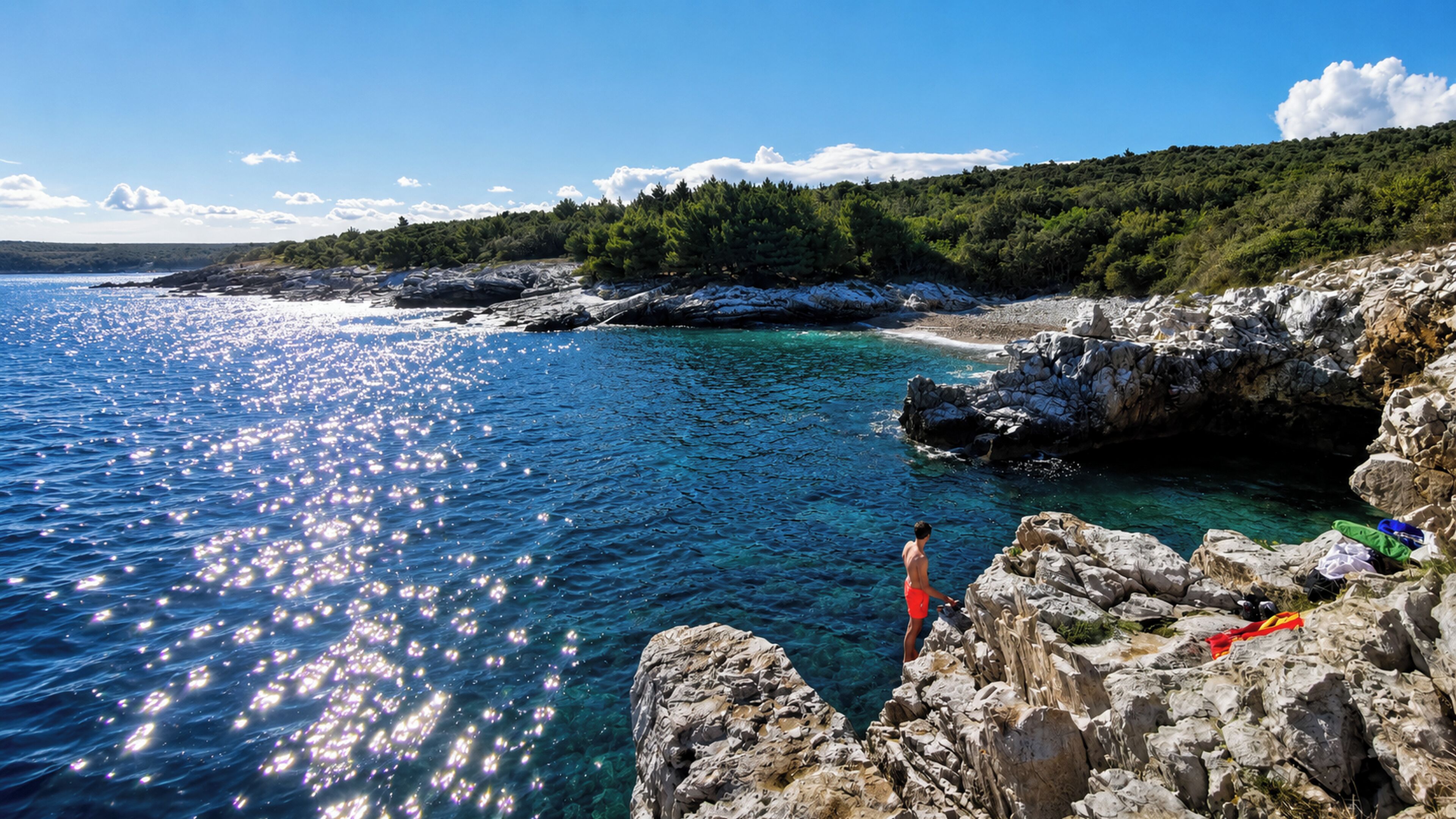 A rocky coastline with clear blue waters, a person standing on rocks, and a forested hill in the background.