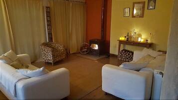 Smart TV, fireplace, DVD player, books