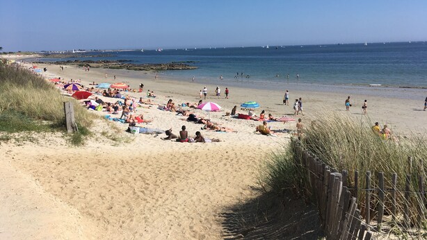 A beach with people sunbathing and swimming, a wooden fence, and a clear blue sky. - Mansion - Ploemeur (Ploemeur)