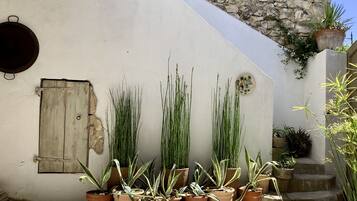 Une cour agrémentée de plantes en pot, une porte en bois rustique et un mur de pierre.