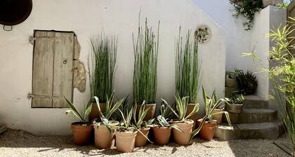 La Flùnerie, Un goût de liberté dans le sud de la France