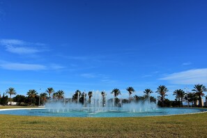 Alberca al aire libre 