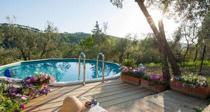 Villa Mary + Pool + Blick auf die Chianti Hills 20 Minuten von Florenz entfernt