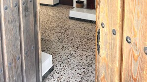 Un couloir avec un sol en terrazzo, une porte en bois et une plante en pot.