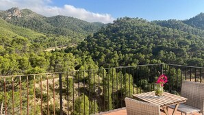 Un balcon offrant une vue sur une vallée boisée et des montagnes.