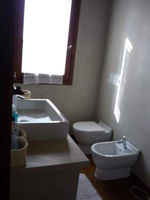 Ducha, secador de pelo, bidé y jabón