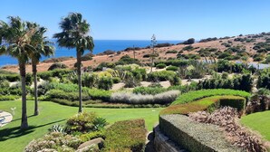 Un jardín paisajístico con palmeras, césped cuidado y vista al océano.
