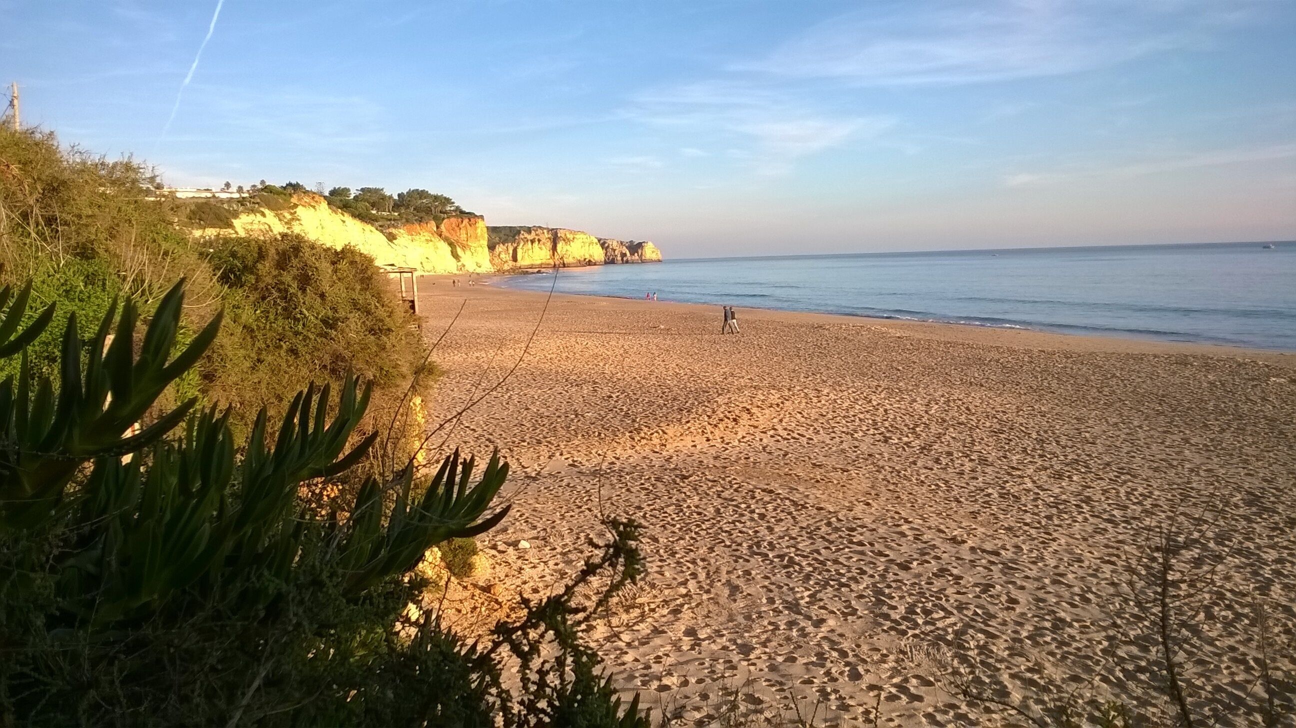 Une plage bordée d’une falaise rocheuse et dotée d’une végétation clairsemée.