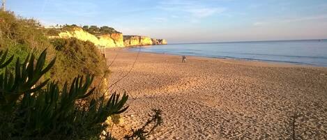 Une plage bordée d’une falaise rocheuse et dotée d’une végétation clairsemée.