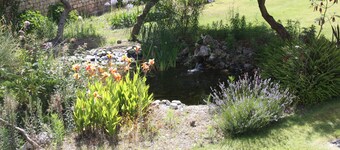 Apartment With Shared Pool, landscaped gardens, Wi-fi 