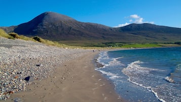 Beach nearby, sun-loungers