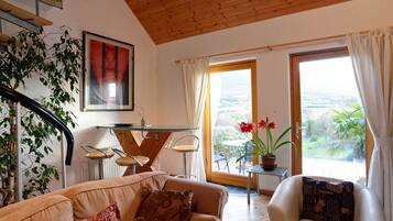 Smart TV, DVD player, books, video library