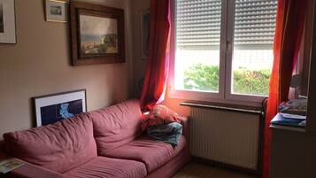 Televisie, een dvd-speler, boeken en een muziekbibliotheek