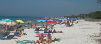 Mazzanta: Studio - La Mazzanta