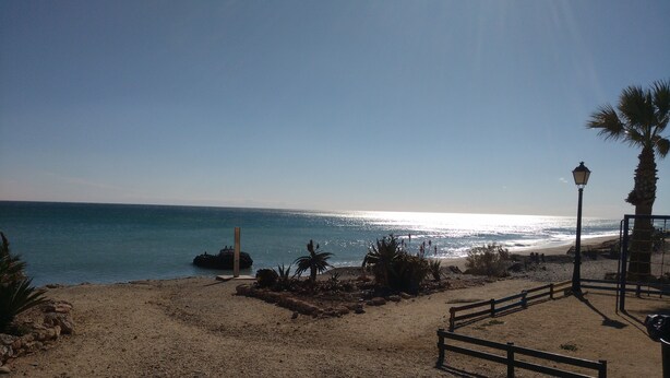 A beach with a rocky foreground, a palm tree, and a lamp post.