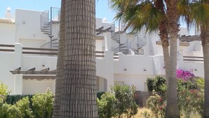 A palm tree in a courtyard with a white building in the background.