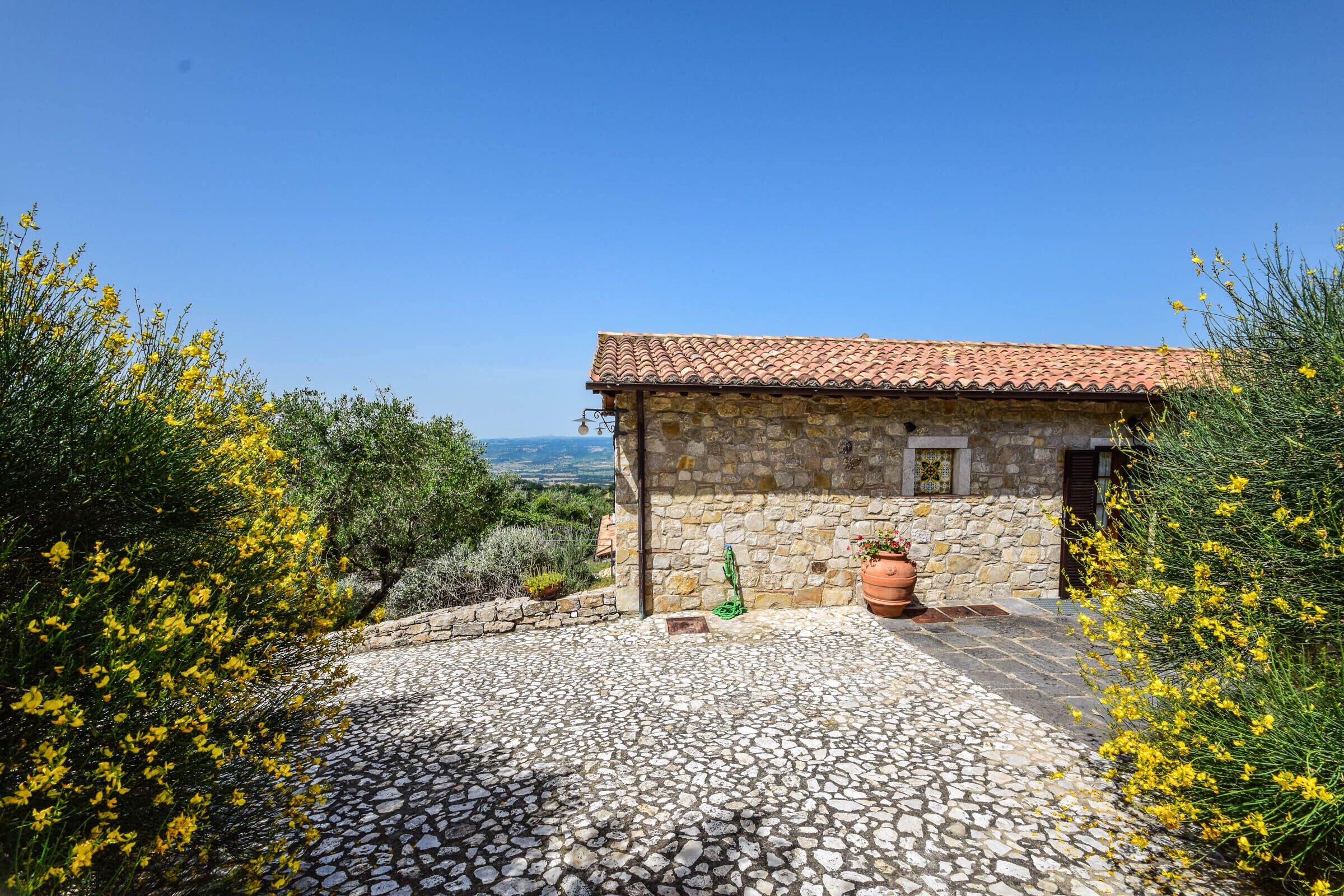 A stone building with a tiled roof, surrounded by yellow flowering bushes and a cobblestone path.