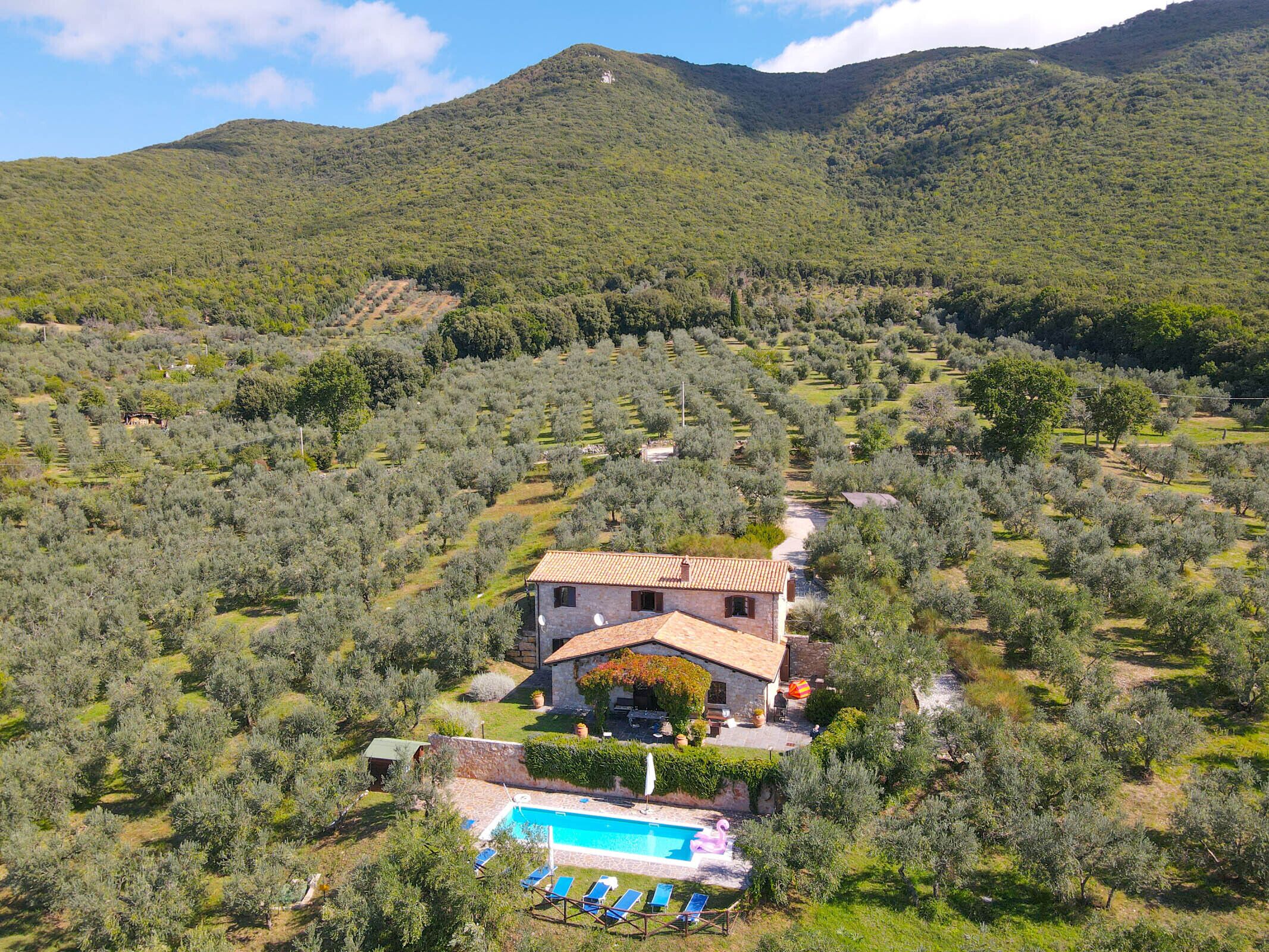 Eine Villa, umgeben von Olivenhainen, mit Swimmingpool und Terrassensitzgelegenheiten.
