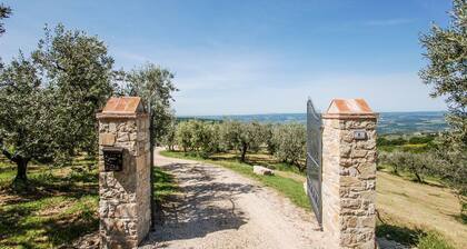 Detached villa with private and fenced pool 1,6km Montecchio, 20km from Orvieto.