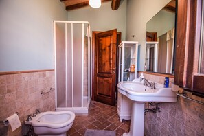 Combined shower/tub, hair dryer, bidet, towels