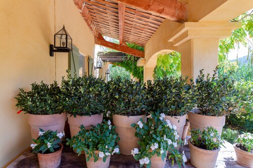 kaunis, erittäin rauhallinen kiinteistö viinitarhojen keskuudessa