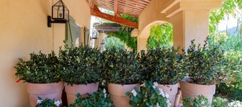 Maison Tulip Salernes  - Guest House sleeping 6.  Pet friendly with heated pool