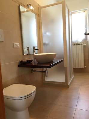 Shower, hair dryer, bidet, towels