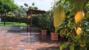 Eine gepflasterte Terrasse mit Terrakotta-Pflanzgefäßen und einer Pergola.