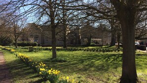 Un jardin agrémenté de jonquilles, un sentier et un bâtiment sur lequel est apposée une enseigne indiquant « Green Cottage Green ».