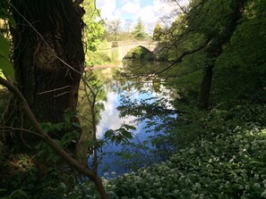 المنطقة المحيطة بالمنشأة