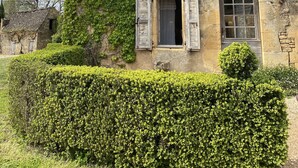 Un bâtiment en pierre dont les murs sont recouverts de lierre, avec des volets en bois et une petite fenêtre ornée d’un rideau.