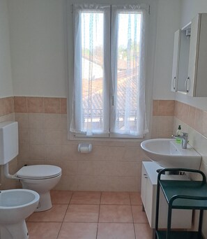 Shower, hair dryer, bidet, towels