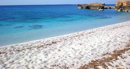 Ancient home of Pomegranate