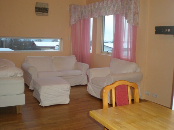 TV, fireplace, DVD player - Studio Apartment near wildlife (Reykjavík)