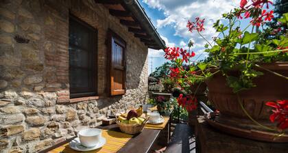 Casa con jardin en los vinedos de Chianti