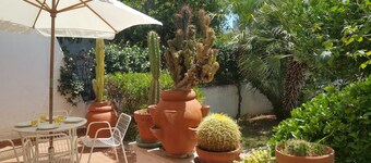 House Cerenova @ sea history nature