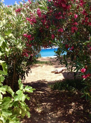 Property grounds - STONE'S THROW BEACH STUDIO - next to the Sea (Koroni)