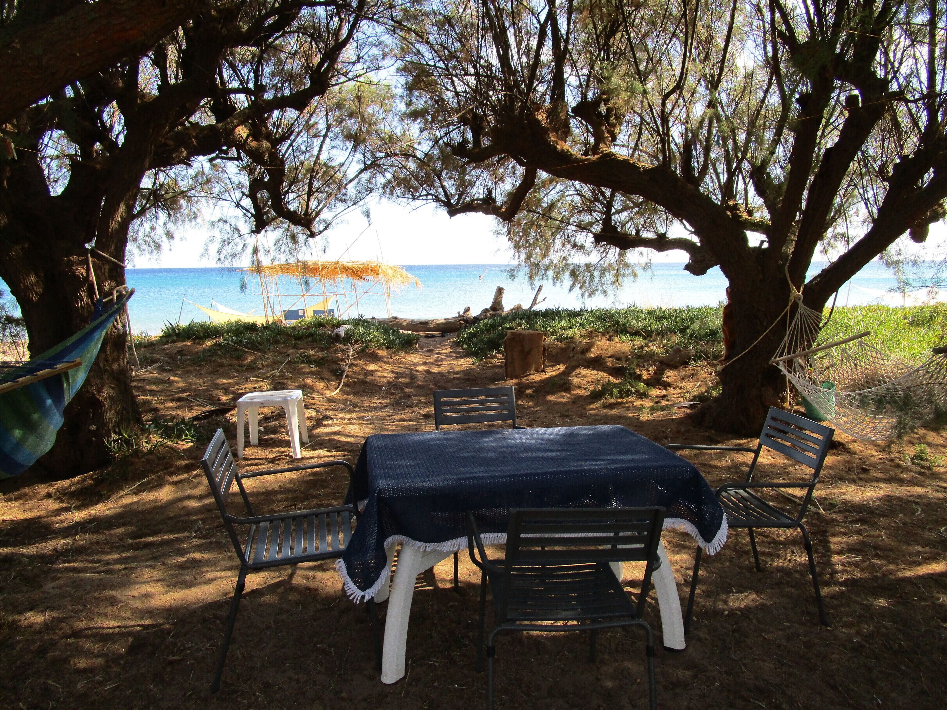 An outdoor seating area with a table and chairs under a tree, overlooking a beach.