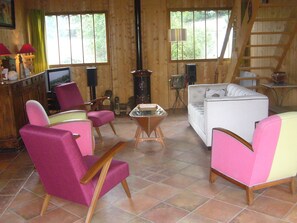 Tv, dvd-spelare, ett bordtennisbord och böcker