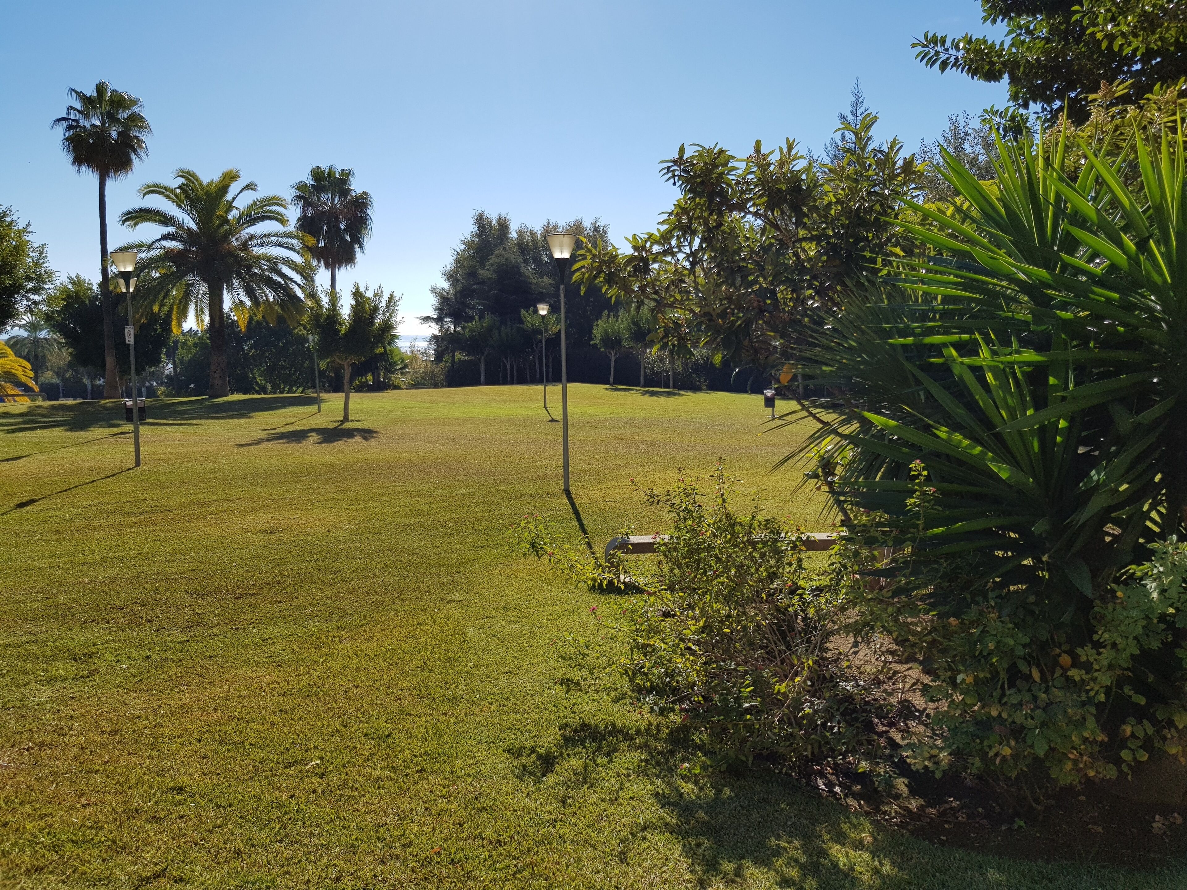 Un área verde bien cuidada con palmeras y farolas, evocando un parque o jardín.