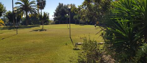 Un área verde bien cuidada con palmeras y farolas, evocando un parque o jardín.