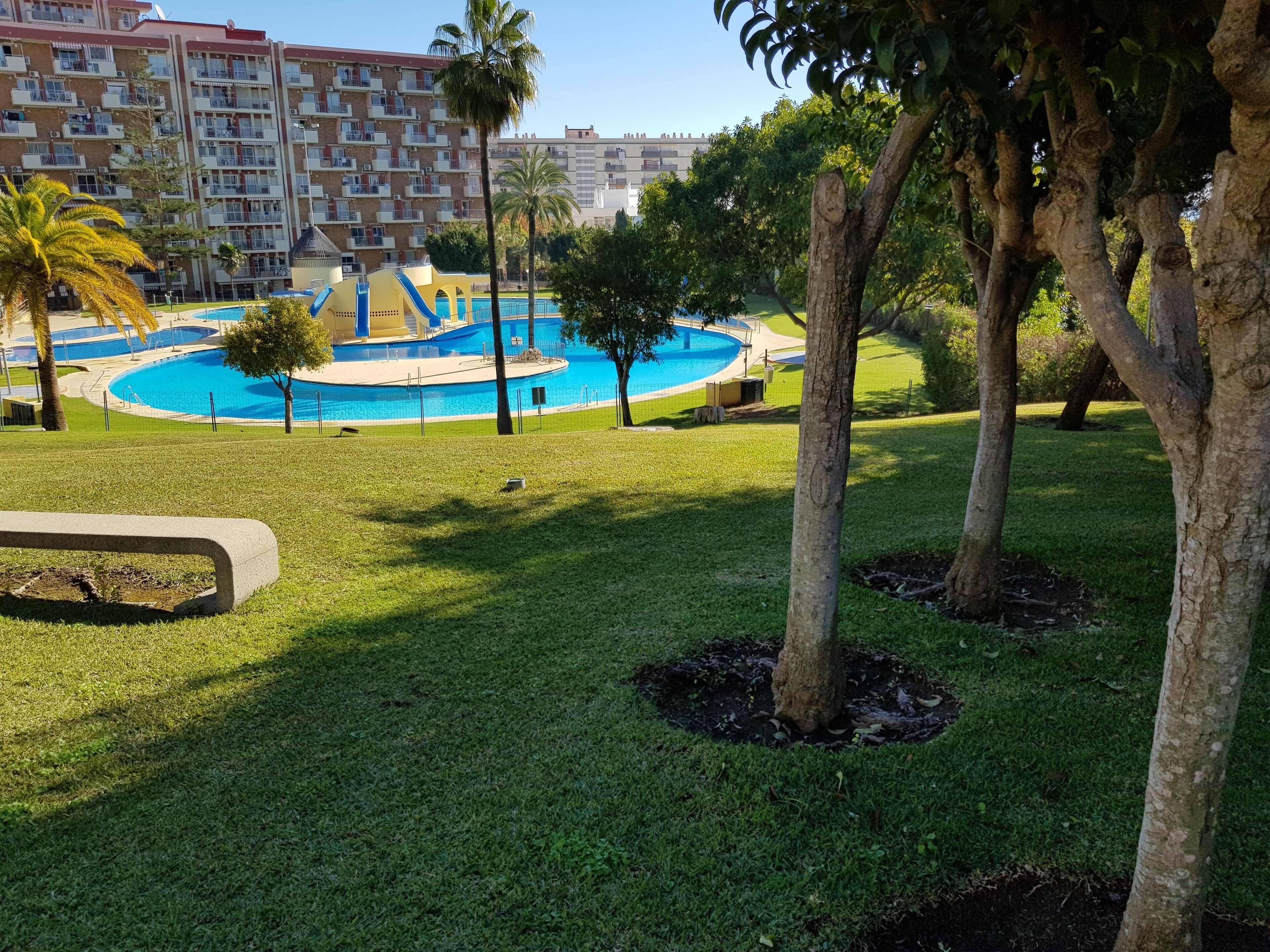 A pool area with a circular design, surrounded by well-maintained grass and trees.