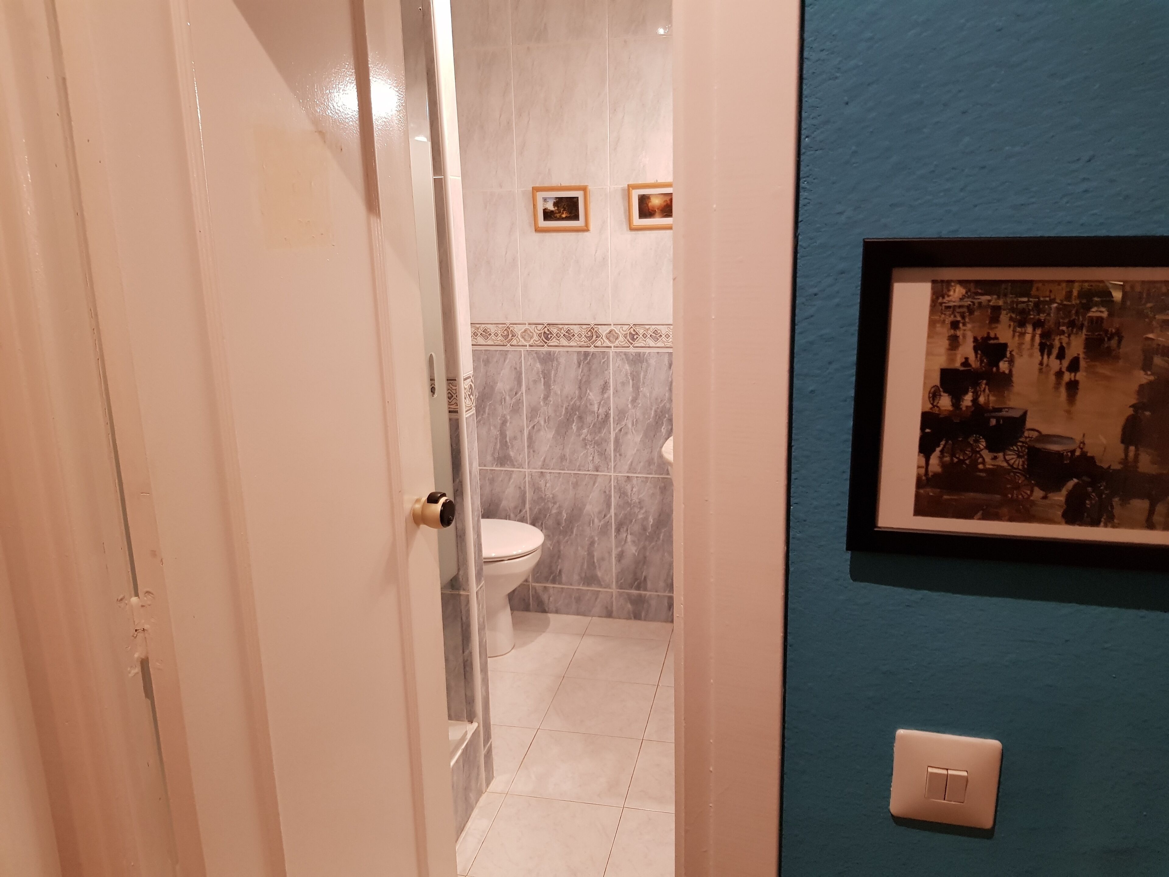 A bathroom with a toilet, a shower, and a wall-mounted picture.