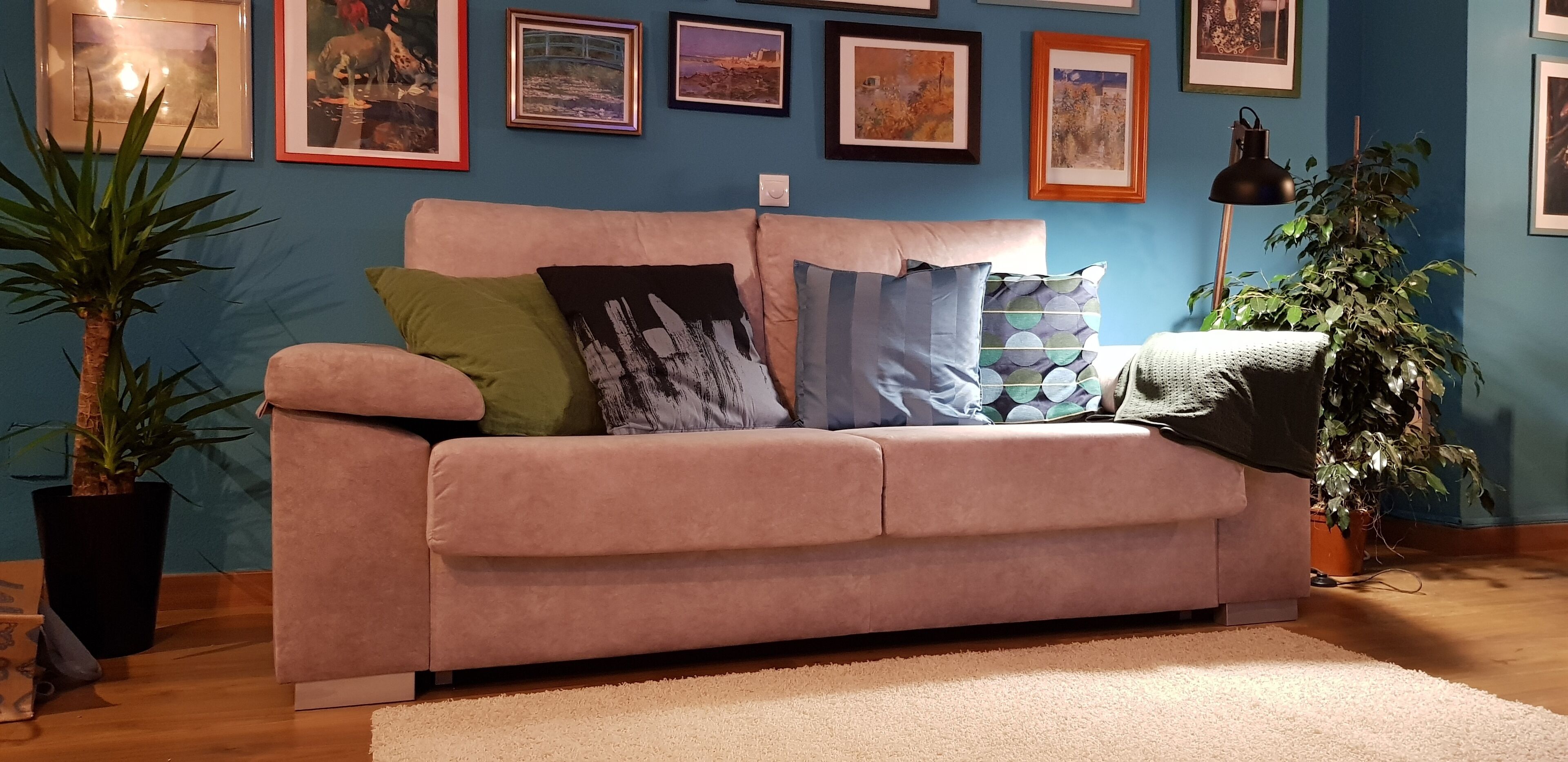 A cozy living room with a pink sofa, various cushions, a large potted plant, and framed artwork on the wall.