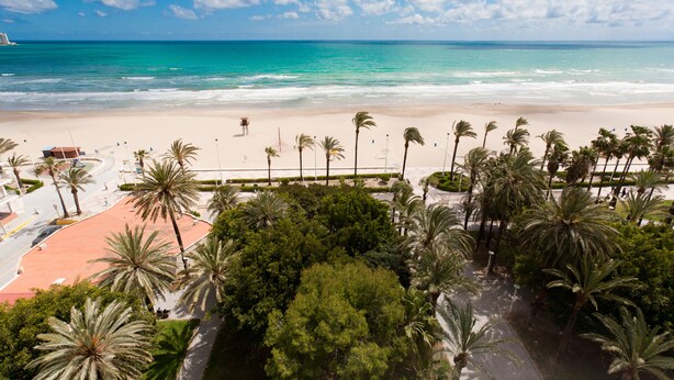 A beach with palm trees, a sandy shore, and a clear blue sky. - Apartment/ flat - Cullera (Cullera)