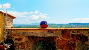 Terrain de lâhĂ©bergement